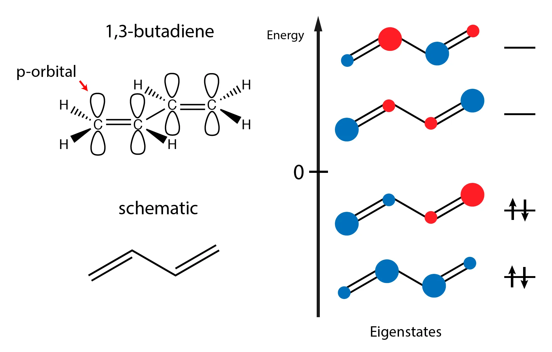 1,3-butadiene and its pi-system molecular orbitals